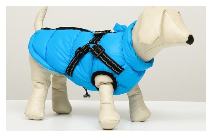 Куртка для собак со шлейкой, размер 20 (ДС 43 см, ОГ 56 см, ош41 см), лазурная