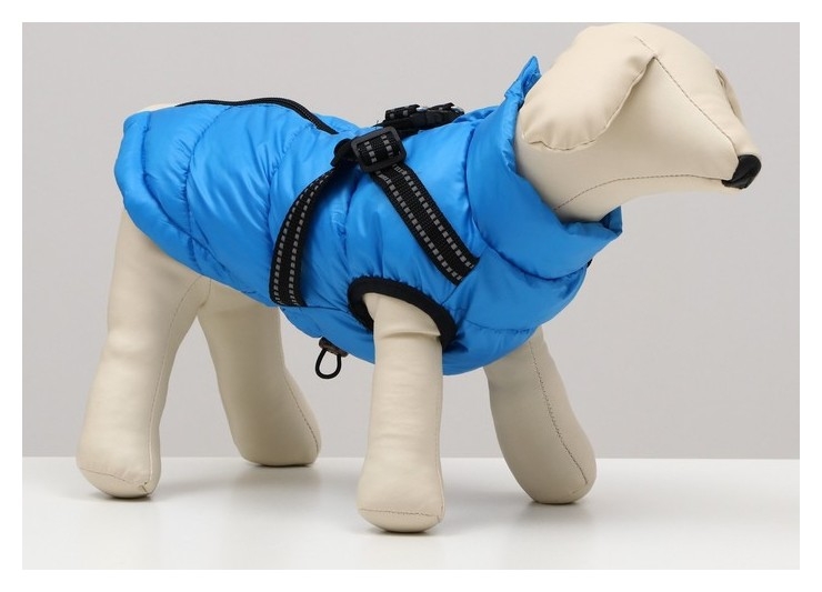 Куртка для собаксо шлейкой, размер 14 (ДС 32 см, ОГ 42 см, ОШ 31 см), лазурная
