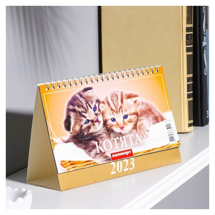 

Календарь настольный, домик "Котята" 2023 год, 20х14см