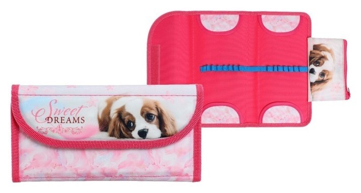 

Пенал раскладной на липучке, 115 х 220 мм, ПМП 41-20, "Мечтатель"