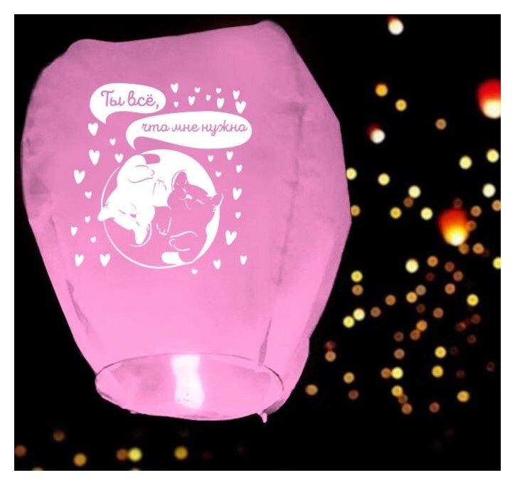 Фонарик желаний «Ты всё, что мне нужно» сердце  Страна Карнавалия