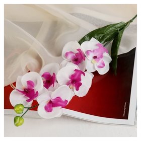 Цветы искусственные "Орхидея пышность" 60 см, белый 