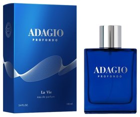 Туалетная вода для мужчин LA VIE Adagio Profondo Dilis Parfum