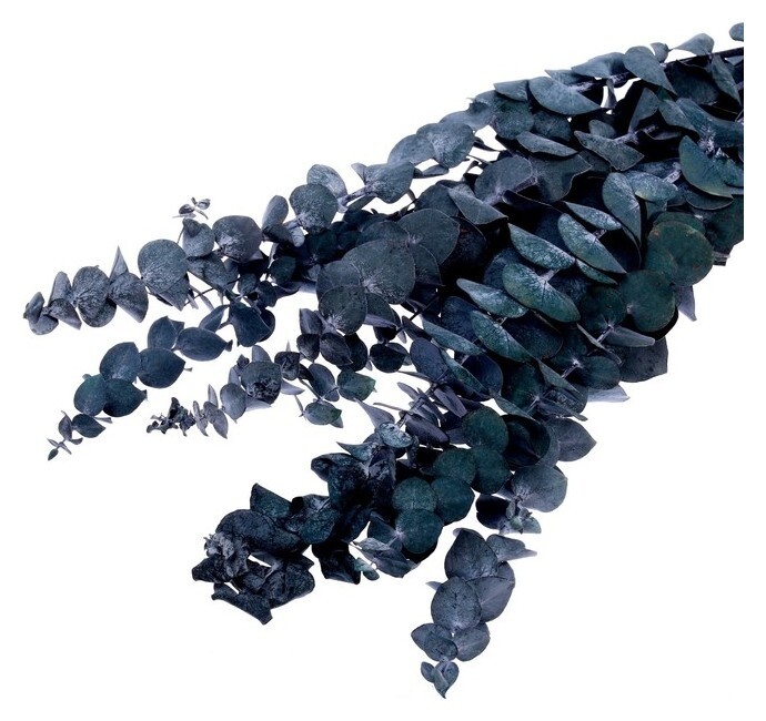 Сухоцвет «Эвкалиптовое дерево», голубой, 10 шт. в упаковке  Школа талантов