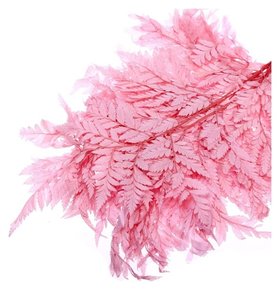 Сухоцвет «Папоротник», розовый, 10 шт. в упаковке Школа талантов