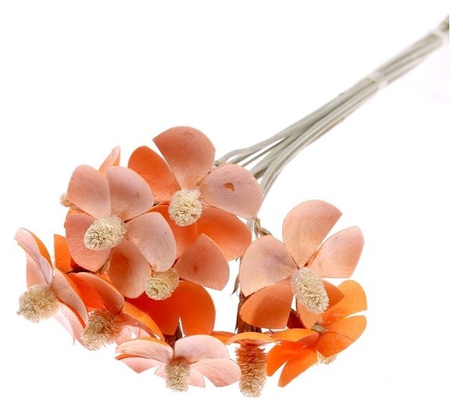 Сухоцвет «Фиалка», оранжевый, 12 шт. в упаковке  Школа талантов