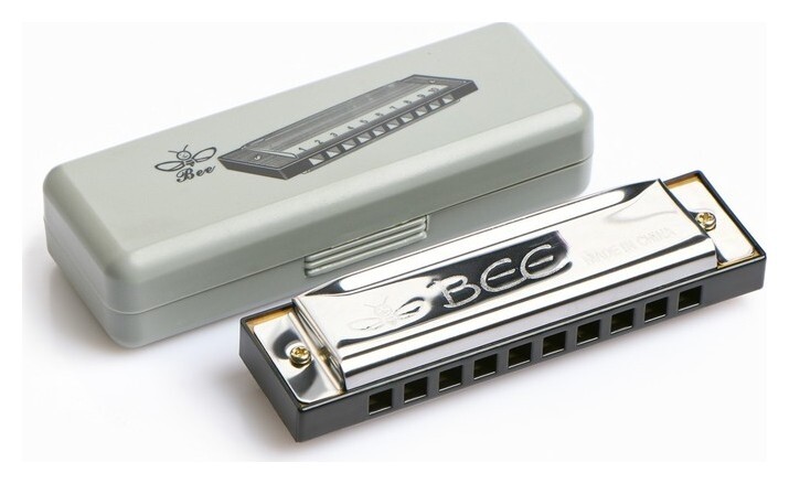 Губная гармошка, диатоническая, 10 отверстий, C-major, с футляром, серебристая 