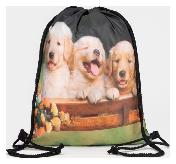 Мешок для обуви на шнурке, цвет чёрный  