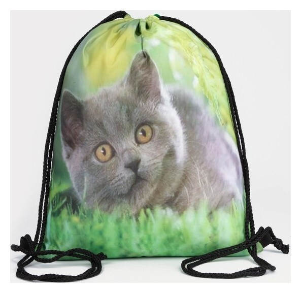 Мешок для обуви на шнурке, цвет зелёный  