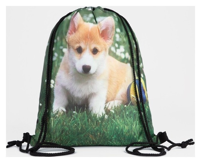 Мешок для обуви на шнурке, цвет зелёный  