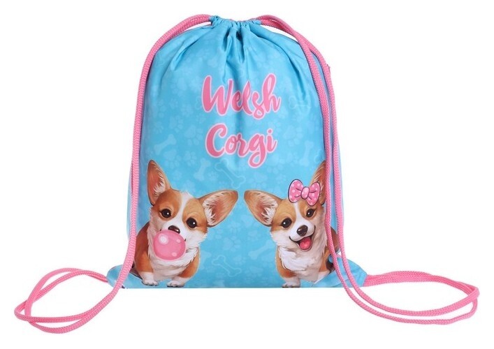 Мешок для обуви с карманом, 470 х 370 мм, с ручкой-петлей, "Оникс", мо-26-1-2р,"корги"  Оникс