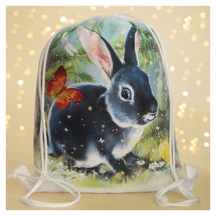 Мешок для обуви, цвет белый/разноцветный  