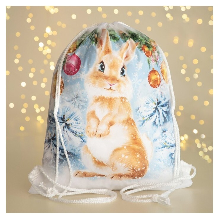 Мешок для обуви, цвет белый/разноцветный  