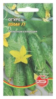 Семена огурец "Полан", 10 шт Plant