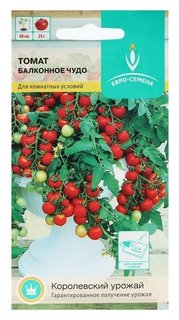 Семена томат "Балконное чудо" ультраскороспелый, низкорослый, 15 шт Евро-семена