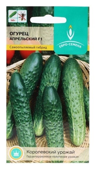 Семена огурец апрельский F1 цв/п 0,25 гр., партенокарпический Евро-семена