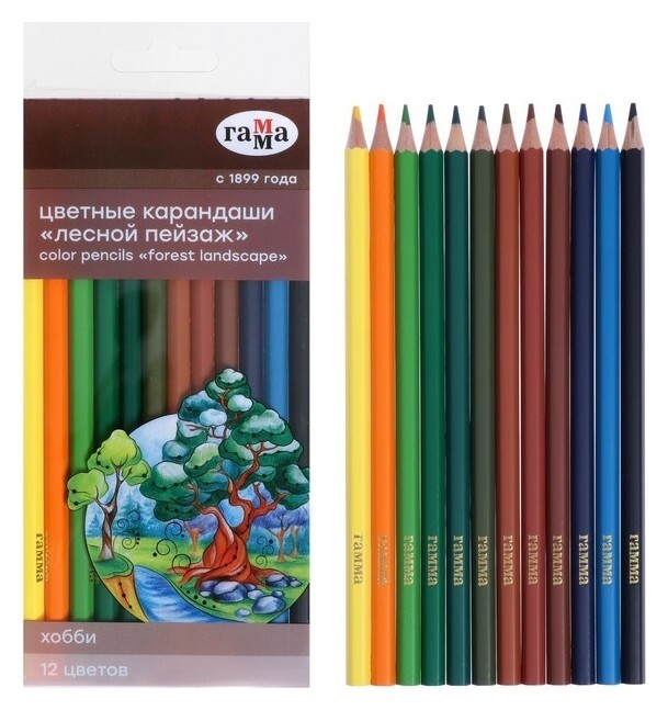 Карандаши 12 цветов "Лесной пейзаж", ПВХ  Гамма