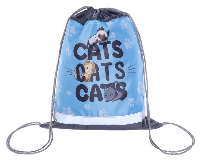 Мешок для обуви с карманом 420 х 340 мм, со светоотражающей полосой, "Котята"  Пчелка