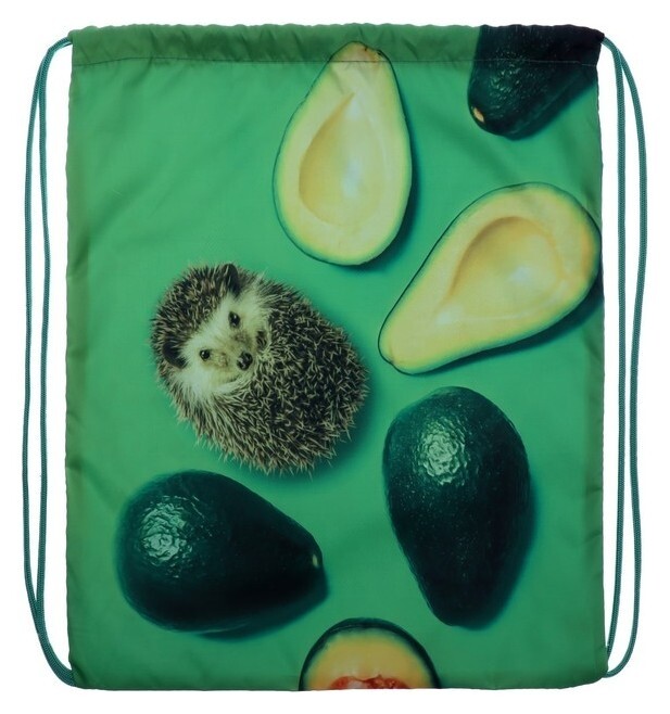 Мешок для обуви 420 х 340 мм, Calligrata мсо-5с, (Мягкий полиэстер, плотность 210d), "Ежик с авокадо зеленое"  Calligrata