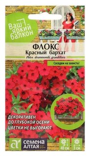 Семена цветов флокс "Красный бархат", друммонда, сем. алт, ц/п, 0,1 г Семена Алтая