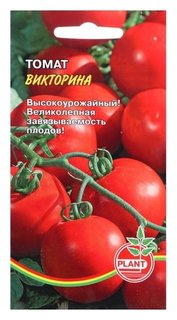 Семена томат "Викторина", 20 шт Plant
