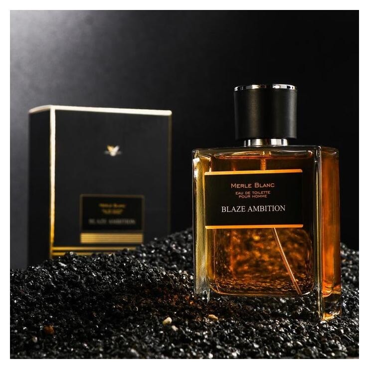 Туалетная вода мужская Merle Blanc Blaze Ambition, 100 мл Ponti