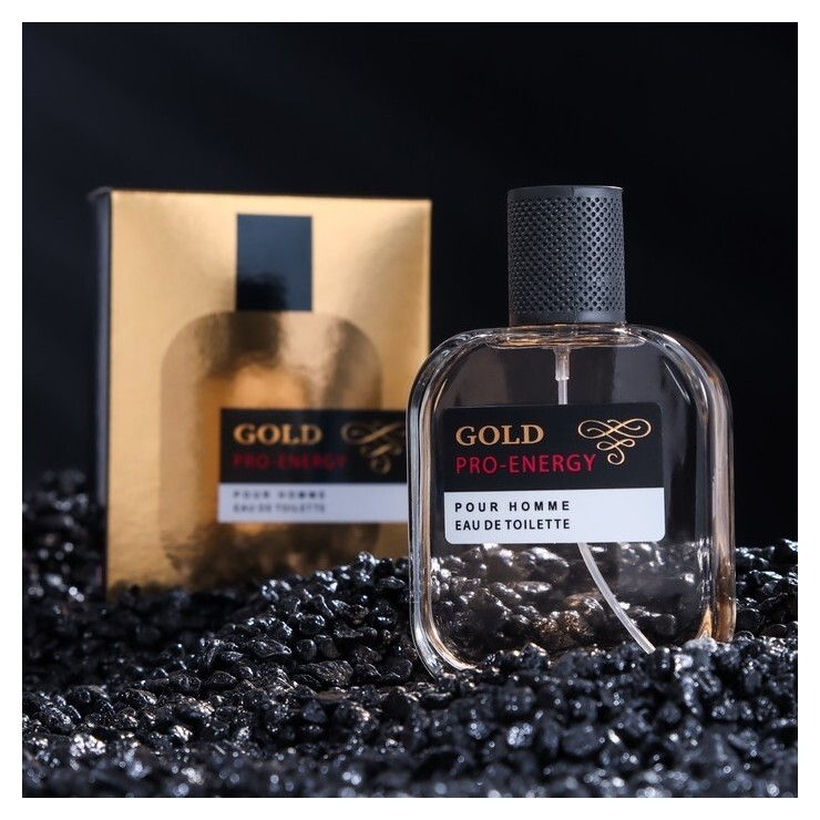 Туалетная вода мужская Pro-energy Gold, 100 мл Delta Parfum