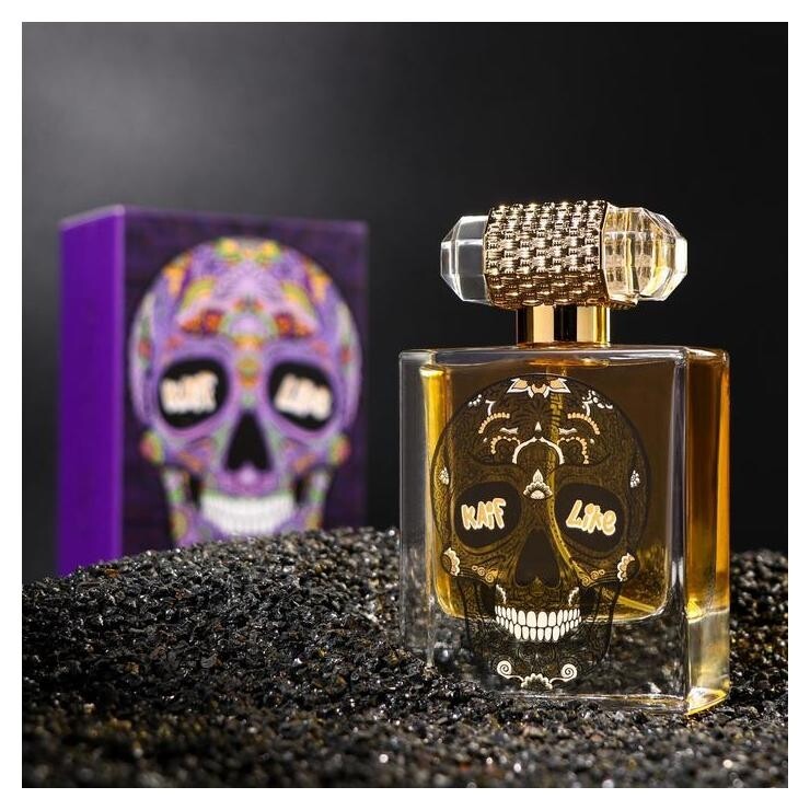 Парфюмерная вода мужская Kaif Parfum Like Kaif, 100 мл Неолайн