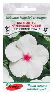 Семена цветов катарантус крупноцветковый "Первоклассница F1", 5 шт. Premium Seeds