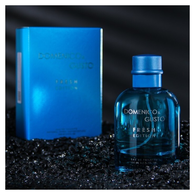 Туалетная вода мужская Domenico&gusto Fresh Edition, 100 мл  Christine Lavoisier