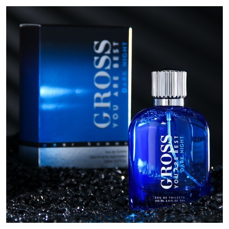 Туалетная вода мужская Gross Dark Night, 100 мл  Christine Lavoisier