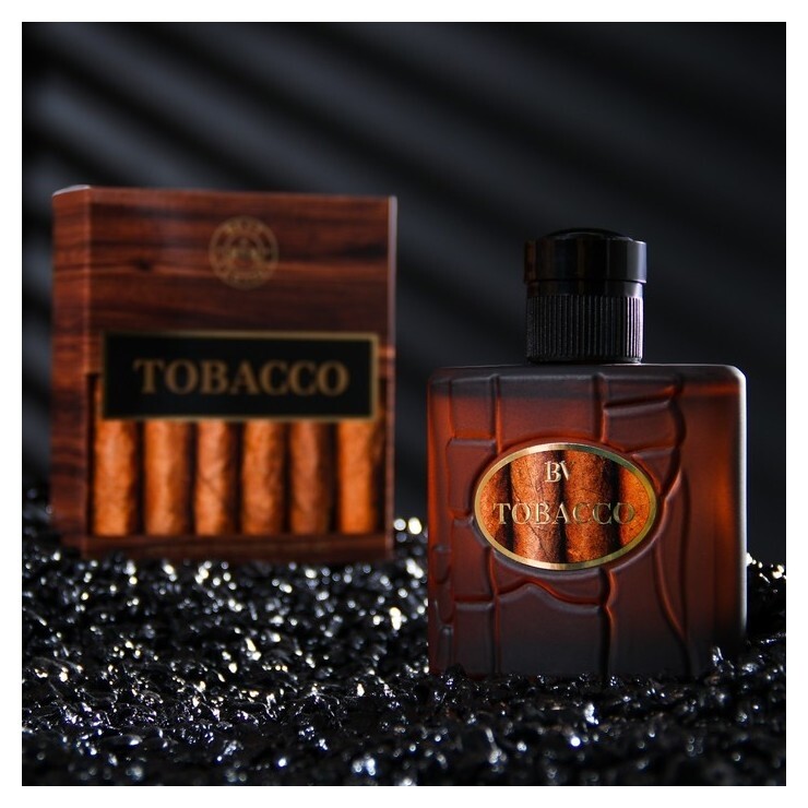 Туалетная вода мужская Best Version Tobacco, 90 мл  Christine Lavoisier