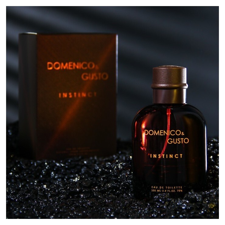 Туалетная вода мужская Domenico&gusto Instinct, 100 мл  Christine Lavoisier