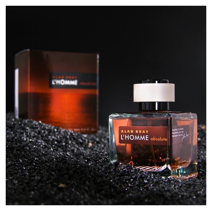 Туалетная вода мужская Alan Bray L'homme Absolute ТВ ,100 мл  Alan Bray