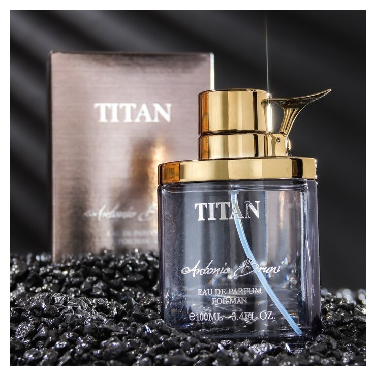 Парфюмерная вода мужская Titan, 100 мл  Кпк-канцтовары