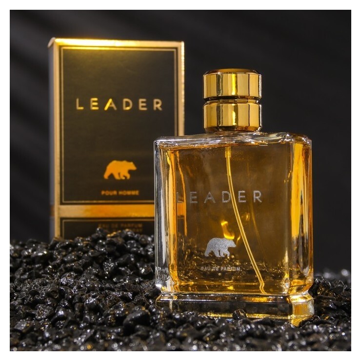 Парфюмерная вода мужская Leader, 100 мл  Кпк-канцтовары