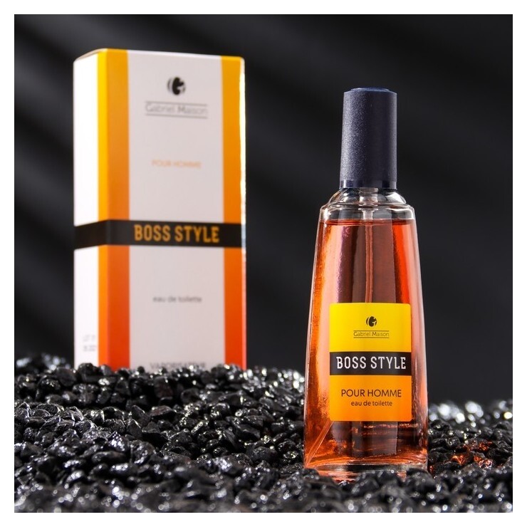 Туалетная вода мужская Gabriel Maison Boss Style, 50 мл Ponti Parfum