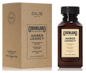Парфюмерная вода мужская Amber Legacy Dilis Parfum
