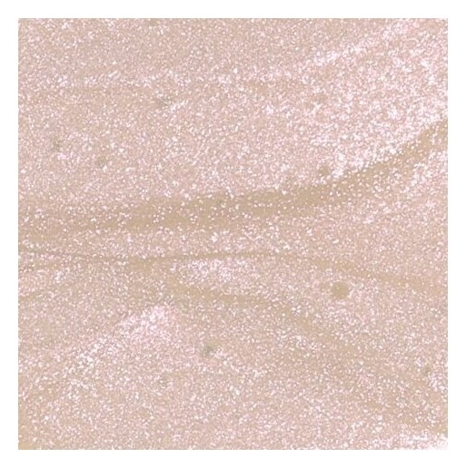 Тон spotlight  Absolute New York