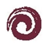 Тон 483 Черносмородиновый мусс  Charme (Шарм)