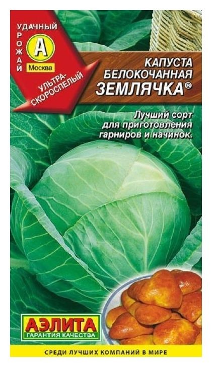 

Семена Капуста белокочанная "Землячка" (стандарт)