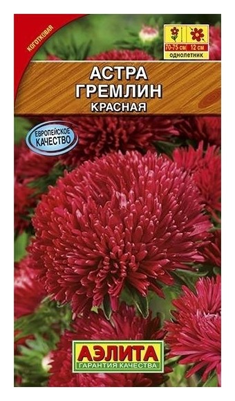 

Семена Астра красная "Гремлин"