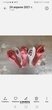 Отзыв на товар: Шар латексный 12" «Фламинго. пожелания», 2-сторонний, набор 5 шт.. Пати Бум. Вид 1 от 05.05.2021 