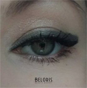 Отзыв на товар: Тени для век Eyeshadow Metal Pro. Relouis.