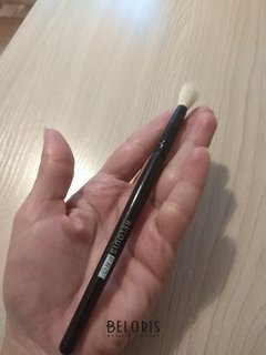 Отзыв на товар: Кисть для растушевки теней косметическая Blending Brush Pro. Relouis.