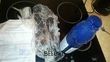 Отзыв на товар: Шампунь для волос De Luxe "Стабилизатор цвета". Estel Professional. Вид 1 от 30.11.2019 