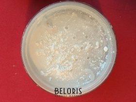 Отзыв на товар: Пудра для лица прозрачная фиксирующая Hd Universal Powder Pro. Relouis.