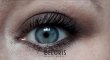 Отзыв на товар: Тени для век Pro Slim Eyeshadow Palette Next-gen Nudes. Catrice. Вид 20 от 23.08.2020 