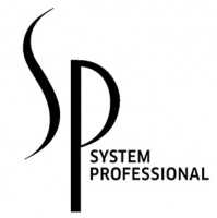 System Professional