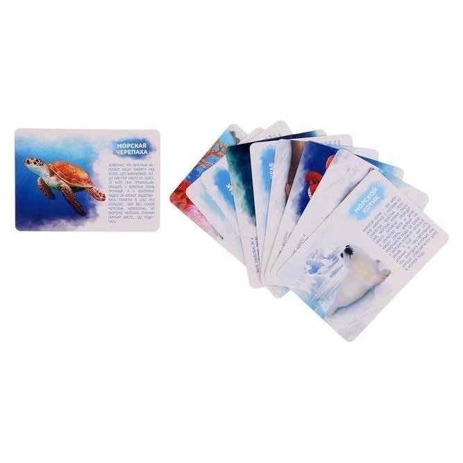 Набор животных с обучающими карточками Подводный мир, животные пластик, карточки